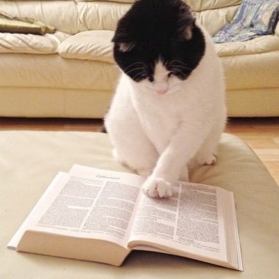 burrolandy's profile picture. vestibulando de história - ufmg (me aceita PFVR)