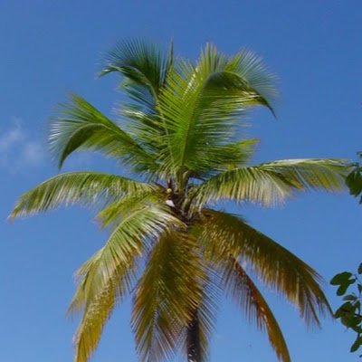 ElizabethS78635's profile picture. 