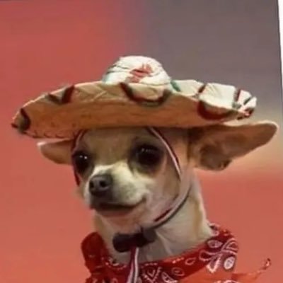 AztecXep's profile picture. life is short and there is no time. im not fucking selling #xrp #xep #trx #klv #bsv 🐉 follow me on twetch. @65796