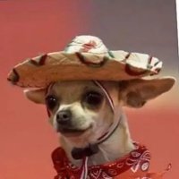XEP🐉_Aztec_Emperor🐉 (@aztecxep) 's Twitter Profile