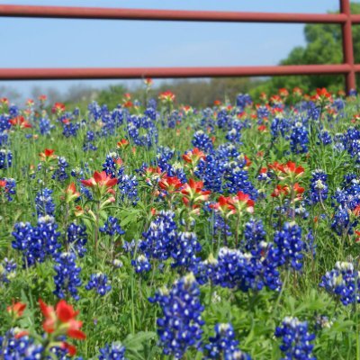 SLorraine_03's profile picture. 