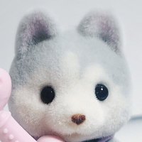 いぬ (@inuma_0913) 's Twitter Profile Photo