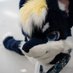 秋斗AKIto (@claerzp) Twitter profile photo 秋斗AKIto (@claerzp) Twitter profile photo