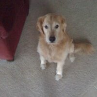 David Lampley (@dmlampley) 's Twitter Profile