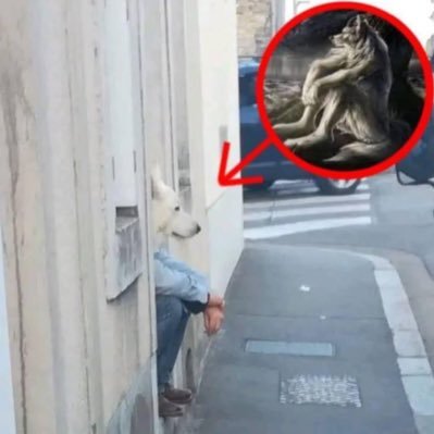 Raeeelen's profile picture. data drain