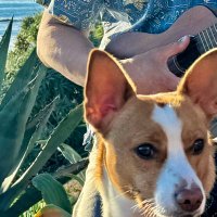 Ohana Stories Podcast (@ohanastories) 's Twitter Profile