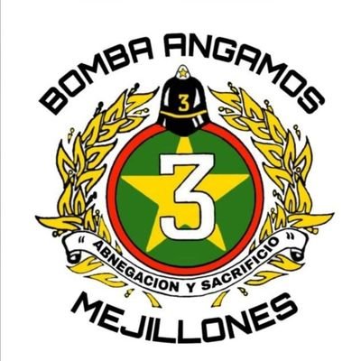 Tercera compañia Bomberos de Mejillones. Bomba Angamos Fundada el 07 de Enero del 1915. Especialidad HAZ-MAT. Nuestro lema; Abnegacion y Sacrificio.