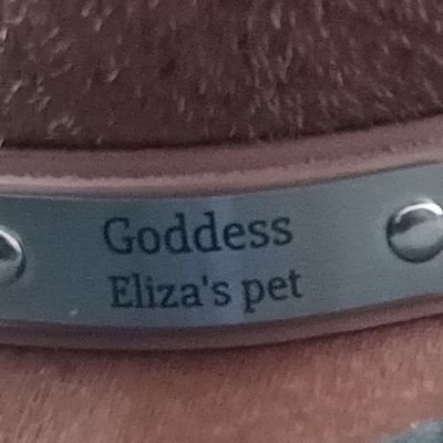 bobbo1120's profile picture. lowly submissive turned on by:  #hypnosis #poppers #slavetasks  #goddessworship worker bee $bobbo1120