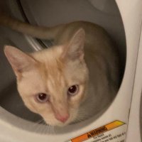 Fraxurdfuture (@fraxurdfuture) 's Twitter Profile