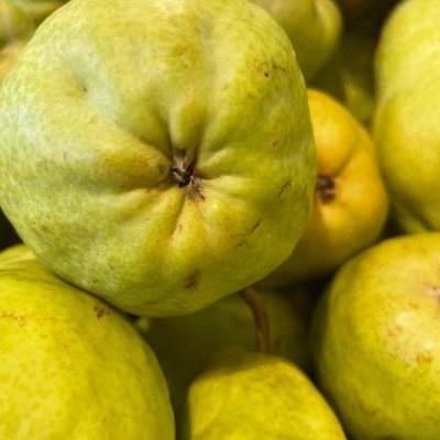 jacobGAGNON23's profile picture. Fuck your bio.