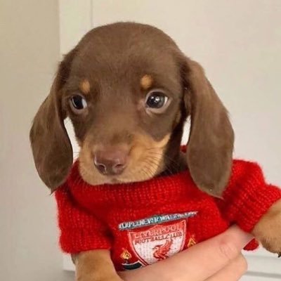 wwkdddl's profile picture. 듀듀듀듀듀듀 바바바 (=원필조아)