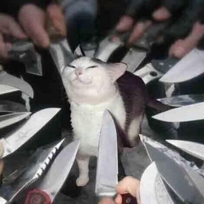 Style_626's profile picture. Penne