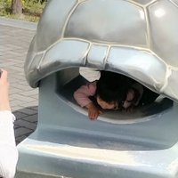 だっち@日本株Youtube (@dattimeika) 's Twitter Profile