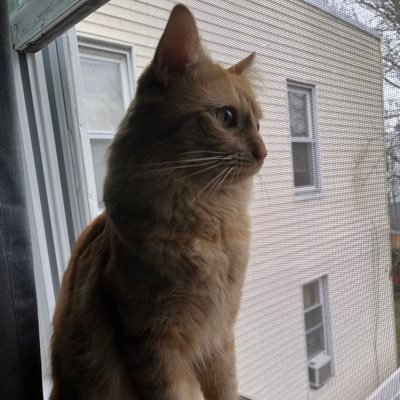 G0dofVikingz's profile picture. 