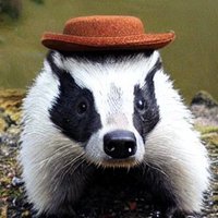 Socratic Badger(@socratic_badger) 's Twitter Profileg