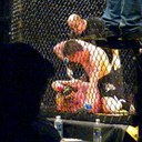 John Thibault - @OjibwayNinja - Twitter