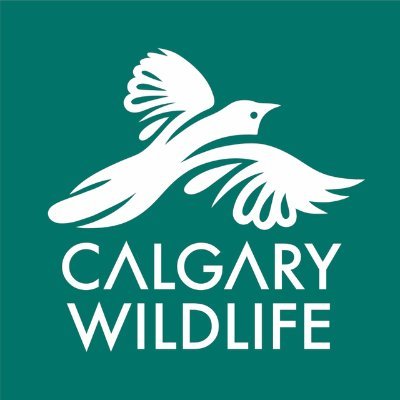 CalgaryWildlife Profile Picture