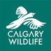 Calgary_Wildlife (@calgarywildlife) Twitter profile photo Calgary_Wildlife (@calgarywildlife) Twitter profile photo