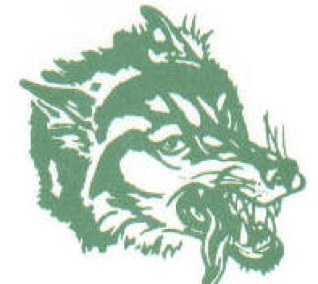 LIVE stats and scores for the Monahans LOBOES and LADY LOBOES 24/7... 365