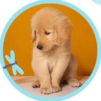 TamP (@tampdinou) 's Twitter Profile