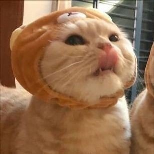 shndrip's profile picture. 