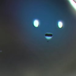 ddtefu's profile picture. RIPオメスト