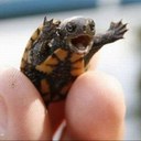 Daniel Cunningham - @Dan_Cunningham - Twitter