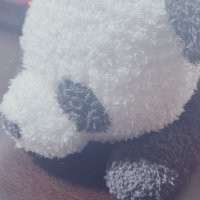 ぱる (@pandasan7171) 's Twitter Profile