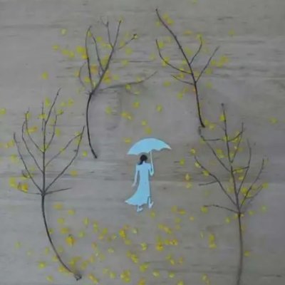 canyonpitch's profile picture. 