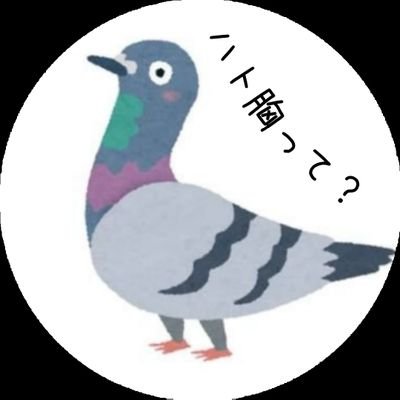 新時代・風の時代を自由に羽ばたきたい😁👍