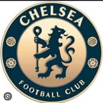 Chelsea fc diehard💙💙💯 CR7🤴 the GOAT 🐐