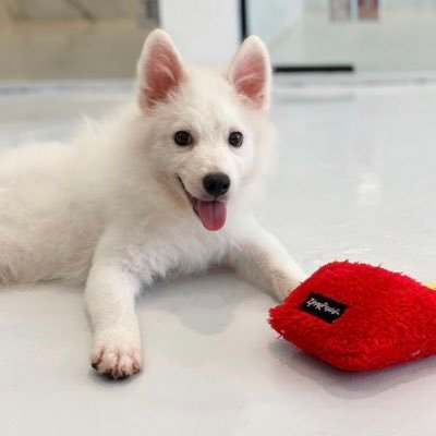 jourdan83's profile picture. 