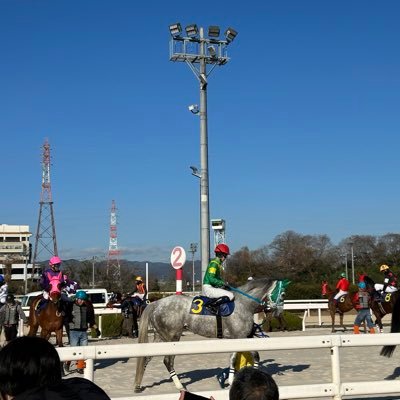 地方競馬、JRA、海外競馬🏇 とにかく競馬が好きです