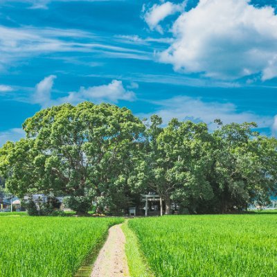 Kotarou_kun1109's profile picture. 