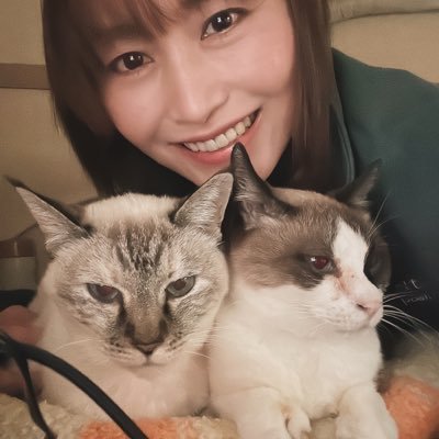 くうのゲーム、猫5匹、ミヤコヒキガエル、アカハライモリ。 趣味垢です。ANTS 291ppw⇒放浪してから276AFL サブは291H✖︎Hでお留守番 アーモンドアイ推しリフレイム推し