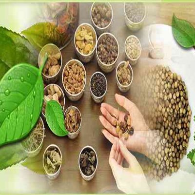 Ayurvedic treatment you are best treatment