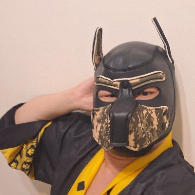 ooc_bear's profile picture. 慢慢交圈友。獸友。
很肥很胖很肉，也沒什麼自信。
相關照片與本人不符，一切都是攝影。
只是想戴頭套，沒有主奴BDSM。
很喜歡摸摸蹭蹭抱抱和背背！
不太好聊慢熟，總而言之先聊聊看
再往下深入交友吧！
基本上是喜熊豬類型！高大肉！
交朋友不設限，親密度高歡迎攜帶出場（？