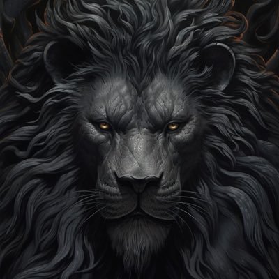stoicvoyage's profile picture. Another day another W