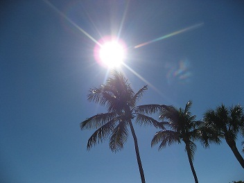 KathyOuellette1's profile picture. 