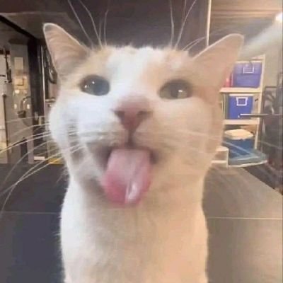 notfurgs's profile picture. dedicated for reading AUs 💭🦈