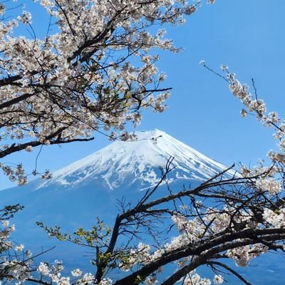 Bennet87AO3's profile picture. Massive geek about all things language, literature, history, and video games. Teacher. All-around nerd.