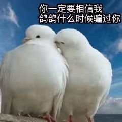 tuitekexuejia's profile picture. JUST FOR FUN💐