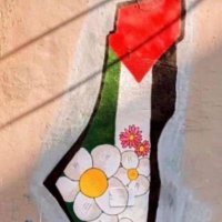 Olfa🇫🇷🇵🇸(@AfloOlfa) 's Twitter Profile Photo