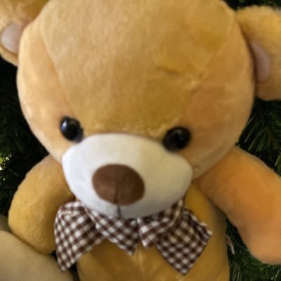 busarinmeelong's profile picture. ❤️🐻P❤️🐼PW❤️