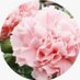 Meena Kumari ๐๐ (@kumari01) Twitter profile photo Meena Kumari ๐๐ (@kumari01) Twitter profile photo