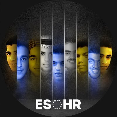 ESOHumanRights Profile Picture