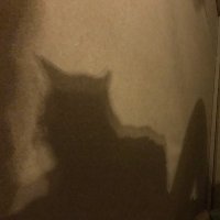 kasai (@smaheeey) 's Twitter Profile