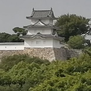 RepezenFoxx   東京卍リベンジャーズ  呪術廻戦　鬼滅の刃