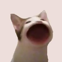 $POPCAT (@popcatsolana) 's Twitter Profile