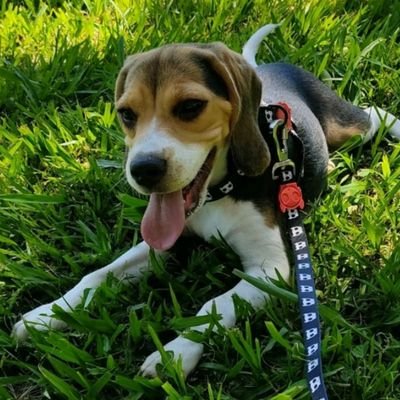 Vittzx1's profile picture. 